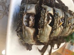 iphone_upload_pic-浦江餐饮·上海菜馆(五四路店)