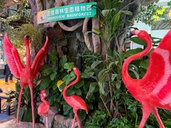 -正佳雨林生态植物园