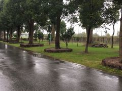 -上海多利农业发展有限公司