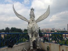 iphone_upload_pic-西郊5号·Maggie 5