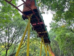 -朝阳公园游乐园