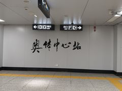 -奥体中心(地铁站)
