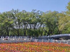 -北陵公园