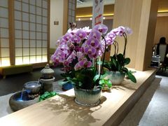 -紫· 割烹  Kappo Murasaki