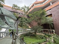 -香港大学