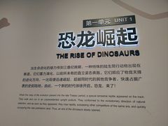 -自贡恐龙博物馆