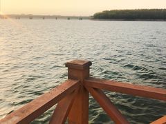 -丁香湖公园