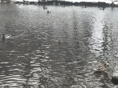 -水磨沟公园