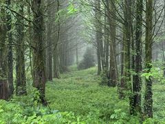 -山王坪喀斯特国家生态公园