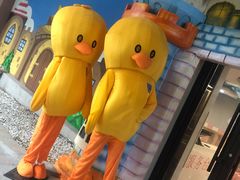 -国信南山温泉