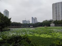 -荔湾湖公园