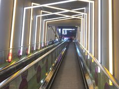 -Tenker Club弹刻极限主题公园 · 蹦床 · 团建 · 生日派对(大关店)