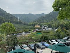 -听风阁农家私房菜茶楼(龙坞店)