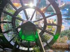 -慢丽江·云南野生菌土鸡锅(付家庄店)