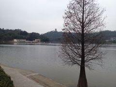 iphone_upload_pic-悦湖公馆