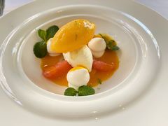-蝶舍·MAISON PAPILLON
