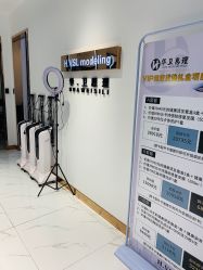 -华卫思理轻奢造型