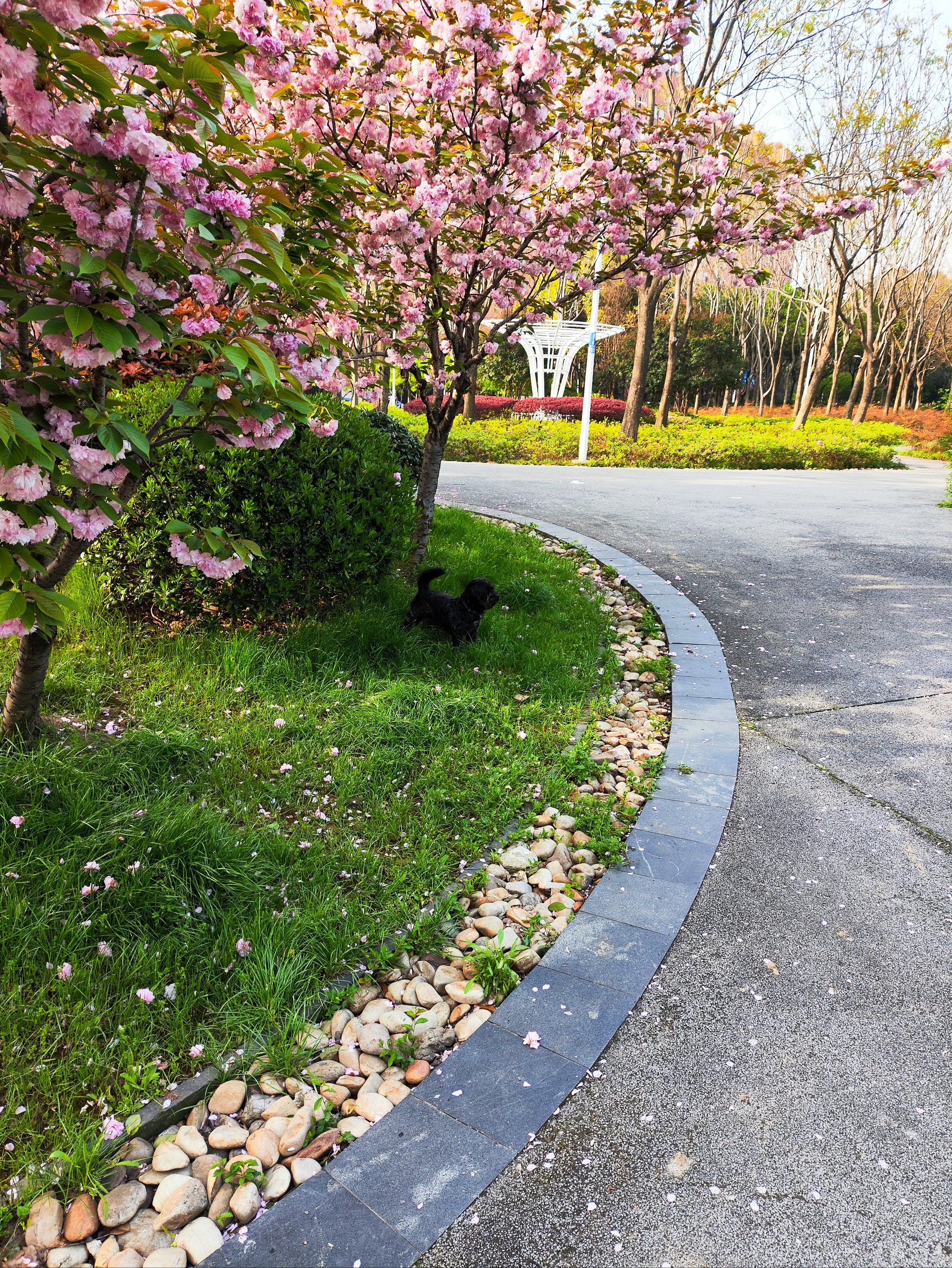 0元玩转这座城桥头公园的景色也是很不错的