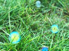 -潭柘厚院&山顶烤肉(潭柘寺店)