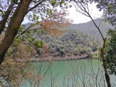 -桃花岭景区