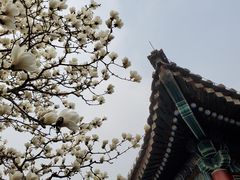 -颐和园