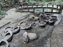 -成都市活水公园