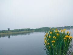 -健龙森俱乐部·游泳·健身·羽毛球综合体育馆
