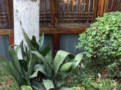 -大妙火锅·非物质文化遗产(东湖公园店)