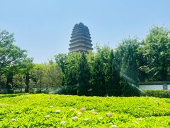 -陕西历史博物馆