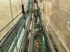 -龙谷湾旅游休闲度假区