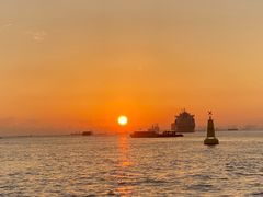 -上海吴淞炮台湾国家湿地公园