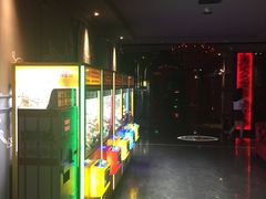 -欢乐迪KTV(新天店)