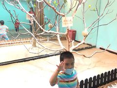 -上海大自然野生昆虫馆(东方明珠·爬宠昆虫探索中心)