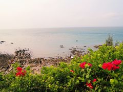 -冠头岭