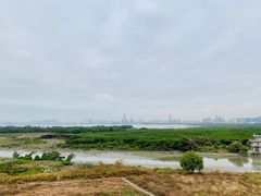 -福田红树林生态公园