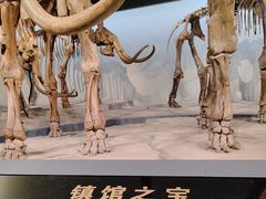 -大庆市博物馆