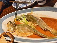 -前海沿·青岛菜(五四广场永旺店)