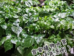 -宜家家居(哈尔滨商场店)