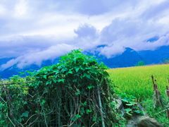-雷波马湖风景区
