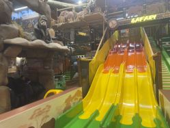 -卡通尼·Safari非洲探索乐园·生日会(金桥国际商业广场店)