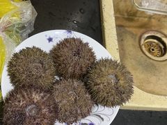 -江杨农产品批发市场