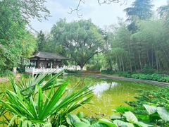 -求雨山文化公园