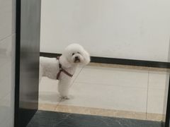 -宠颐生汉谟拉比宠物医院