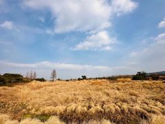 -良渚文化村