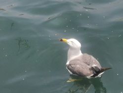 -童年儿童摄影(大连店)