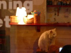 -Babycat私家御饼屋(龙头路一店)