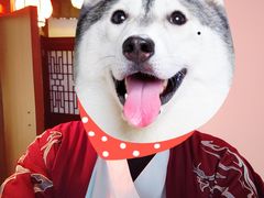 -叁拾壹丨浮世绘x壹拾叁沉浸演绎剧场