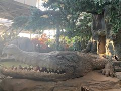 -鄂尔多斯野生动物园