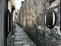 -老品芳
