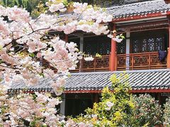-东白山